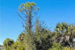 12096 Dubarry Ave, Port Charlotte, FL 33981 - Photo 1