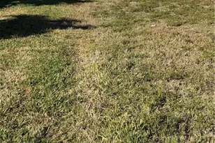 1240 NW 33rd Ave, Cape Coral, FL 33993 - Photo 3