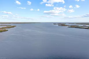 2821 Bruce St, Matlacha, FL 33993 - Photo 39