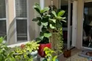 1903 Morning Sun Ln, Naples, FL 34119 - Photo 23