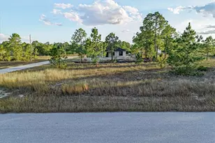 1118 Orient St E, Lehigh Acres, FL 33974 - Photo 1