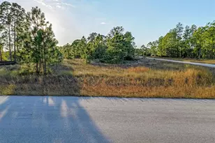 1118 Orient St E, Lehigh Acres, FL 33974 - Photo 11