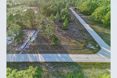 1118 Orient St E, Lehigh Acres, FL 33974 - Photo 3