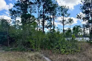 1422 North Ave, Lehigh Acres, FL 33972 - Photo 15