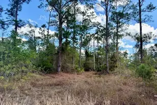 1422 North Ave, Lehigh Acres, FL 33972 - Photo 3