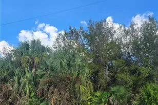 618 Lake Ave, Lehigh Acres, FL 33972 - Photo 3