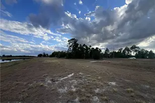 1053 Naples Ave S, Lehigh Acres, FL 33974 - Photo 3