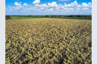 Rest Haven Rd, Zolfo Springs, FL 33890 - Photo 19