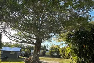 19856 Adams Rd, Fort Myers, FL 33908 - Photo 3