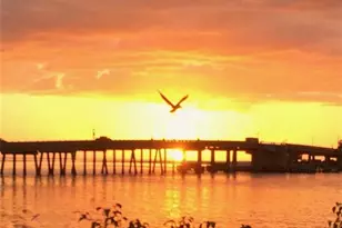 8701 Estero Blvd, Bonita Springs, FL 33931 - Photo 23