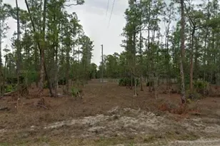 2005 East 13th Street, Lehigh Acres, FL 33972 - Photo 3