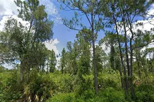 3312 69th St W, Lehigh Acres, FL 33971 - Photo 3