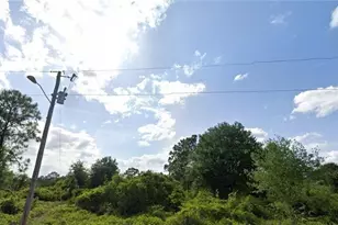 528 Parker Ave S, Lehigh Acres, FL 33974 - Photo 1