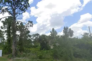 913 Kanuga St E, Lehigh Acres, FL 33974 - Photo 1