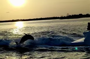 1209 SE 8th St, Cape Coral, FL 33990 - Photo 49