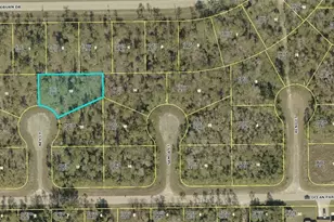 1904 Ney Ct, Lehigh Acres, FL 33972 - Photo 1