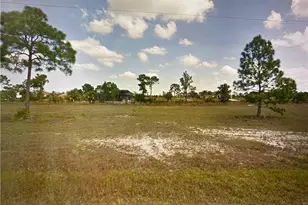 2901 NW 25th Ln, Cape Coral, FL 33993 - Photo 1