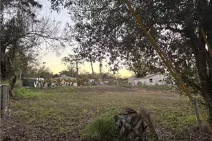 349 Santa Barbara St, North Fort Myers, FL 33903 - Photo 1