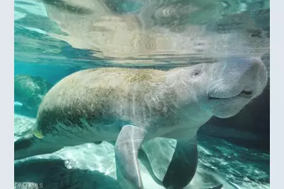 3919 22nd St W, Lehigh Acres, FL 33971 - Photo 19