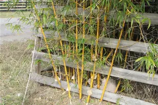 8390 Stringfellow Rd, Saint James City, FL 33956 - Photo 25