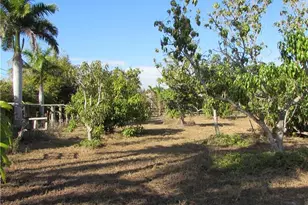 8390 Stringfellow Rd, Saint James City, FL 33956 - Photo 11