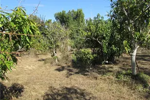 8390 Stringfellow Rd, Saint James City, FL 33956 - Photo 9