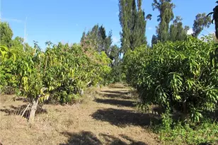 8390 Stringfellow Rd, Saint James City, FL 33956 - Photo 13