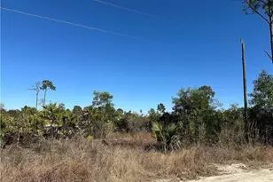 7896 1st Pl, Labelle, FL 33935 - Photo 1