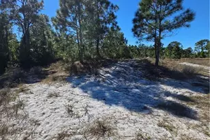 1049 Bandera St, Lehigh Acres, FL 33974 - Photo 3