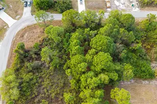 373 Butler Ave S, Lehigh Acres, FL 33974 - Photo 3