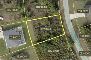 750 Chelsea Ave S, Lehigh Acres, FL 33974 - Photo 3