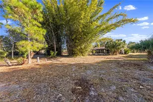 1115 Hibiscus Ave, Lehigh Acres, FL 33972 - Photo 45