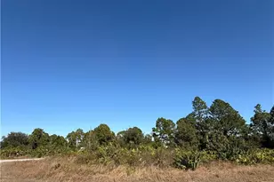 3209 Floyd Ave S, Lehigh Acres, FL 33976 - Photo 3