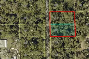 2010 Scott Ave, Alva, FL 33920 - Photo 1