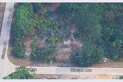 707 Glacier Ave, Lehigh Acres, FL 33974 - Photo 3