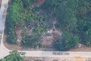 707 Glacier Ave, Lehigh Acres, FL 33974 - Photo 3