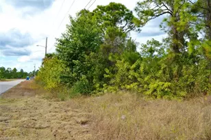 713 Colyer St E, Lehigh Acres, FL 33974 - Photo 11