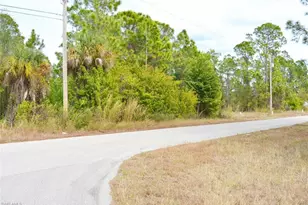 713 Colyer St E, Lehigh Acres, FL 33974 - Photo 9