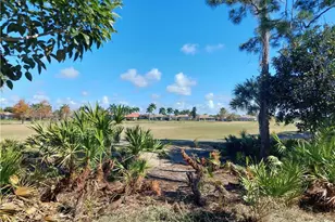 3333 Magnolia Landing Ln, North Fort Myers, FL 33917 - Photo 23