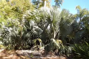 222 SE 46th Ter, Cape Coral, FL 33904 - Photo 15