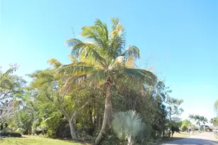 222 SE 46th Ter, Cape Coral, FL 33904 - Photo 1