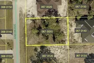 900 Anson Ave, Lehigh Acres, FL 33971 - Photo 1