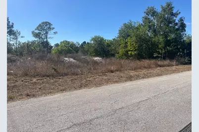 3307 E 11th St, Lehigh Acres, FL 33972 - Photo 3