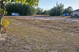 1425 NW 15th Terrace, Cape Coral, FL 33993 - Photo 3