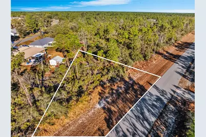 1234 Wildflower St, Lake Placid, FL 33852 - Photo 3