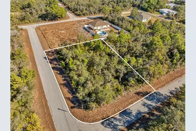 222 Cross Creek Ave, Lake Placid, FL 33852 - Photo 5