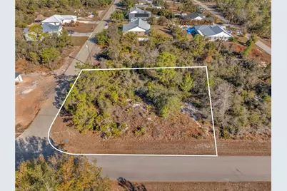 1250 Jersey St NE, Lake Placid, FL 33852 - Photo 1