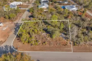 1250 Jersey St NE, Lake Placid, FL 33852 - Photo 1