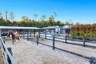 13731 E Terry St, Bonita Springs, FL 34135 - Photo 41