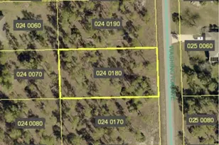 1011 Washington Ave, Lehigh Acres, FL 33972 - Photo 17